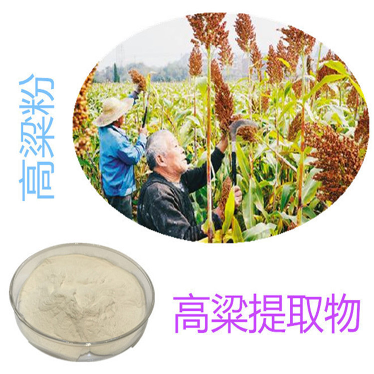 斯諾特生物 深耕植物提取物研發，以高粱提取物為核心打造健康產品矩陣
