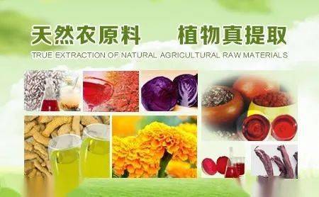 河北板塊異軍突起 九只上市公司股價翻番，植物提取物研發(fā)成新熱點