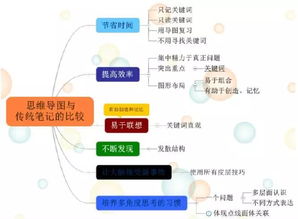 古都西安 思維之網，網絡技術服務的璀璨融合